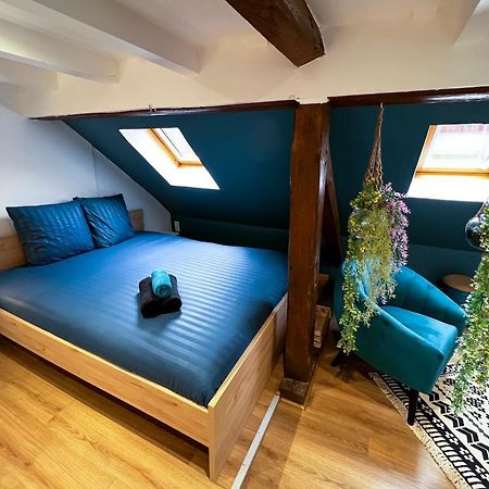 Au Duplex De Jeannala Apartment Sélestat Екстериор снимка